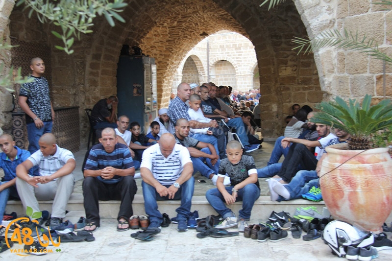 3ed ad7a mahmoudaia (21).JPG